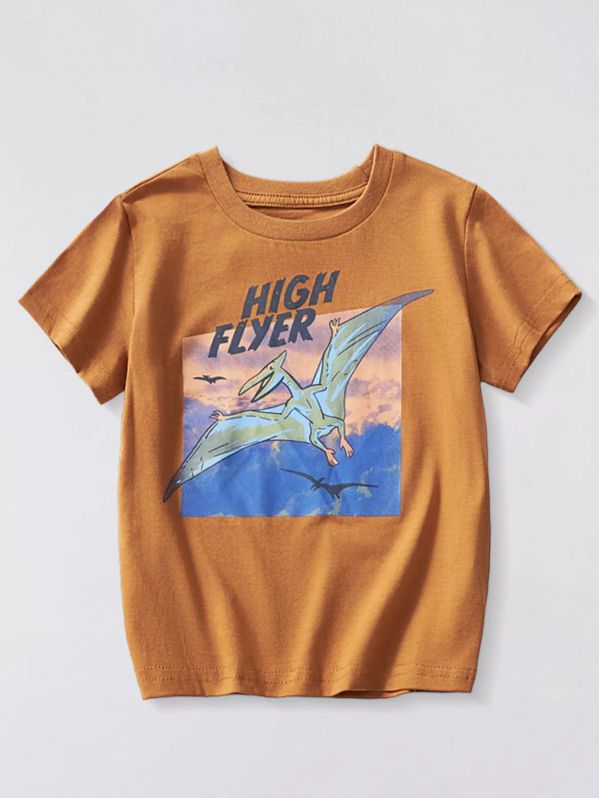 Children's Dinosaur Triceratops Graphic T-Shirt