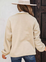 Fleece Colorblock Patchwork Zipped Neck Pullover Sweatshirt