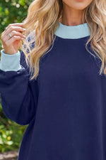 Colorblock Trim Crewneck Long Sleeve Pullover Sweatshirt