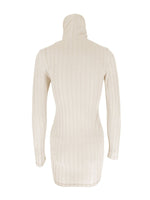 Turtleneck Ribbed Bodycon Mini Dress