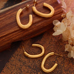Titanium Steel Gold-Plated Earrings