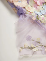 Floral Embroidered Mesh Overlay Maxi Dress
