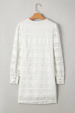 Lace Long Sleeve Mini Dress