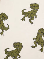 Children's Dinosaur Print Short Sleeve Tee and Shorts Set