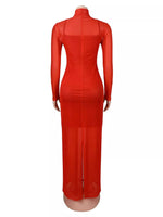 Cami Dress and Rhinestone Horse Mesh Maxi Dress Set