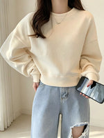 Crew NeckDrop Shoulder Sweatshirt