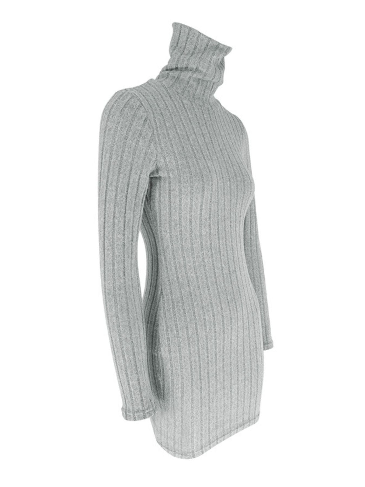 Turtleneck Ribbed Bodycon Mini Dress