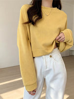 Crew NeckDrop Shoulder Sweatshirt