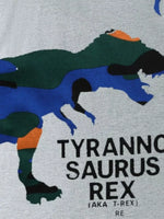Children's Dinosaur Graphic Round Neck T-Shirt