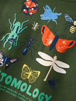 Children's Butterfly Crew Neck Sweatshirt