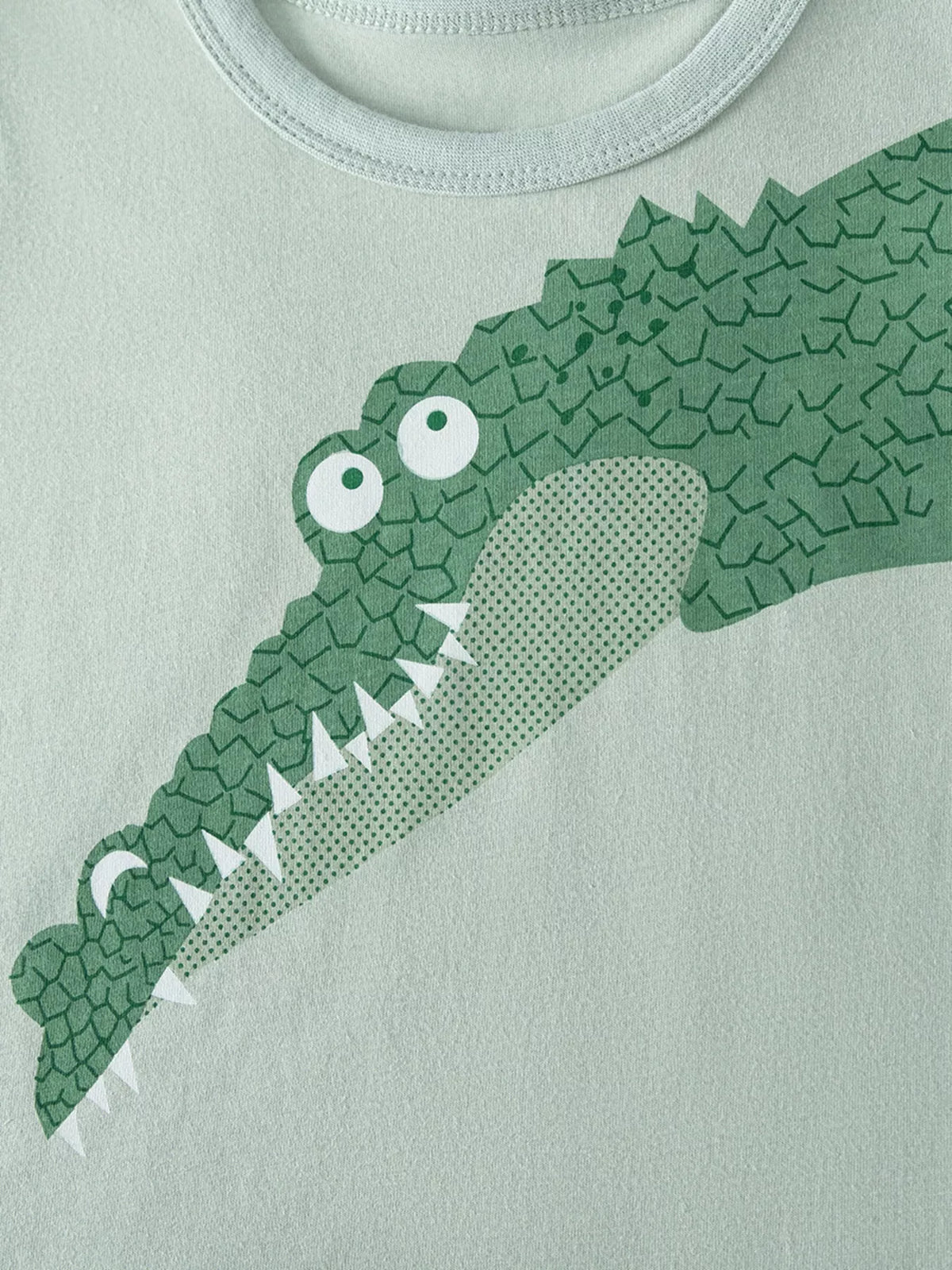 Children's Crocodile Graphic Tee & Shorts Set