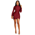 Slim Fit Sheath Fitted Waist Pleated Long Sleeve Dress Nightclub