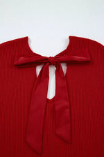 Lantern Sleeve V Neck Knot Back Sweater