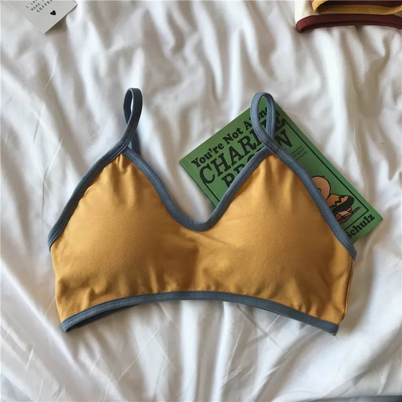 Women Wireless Bra Comfort Cotton Fabric Padded Bras Sexy Lingerie Small Cup Tube Top Removable Pads Brassiere One Size