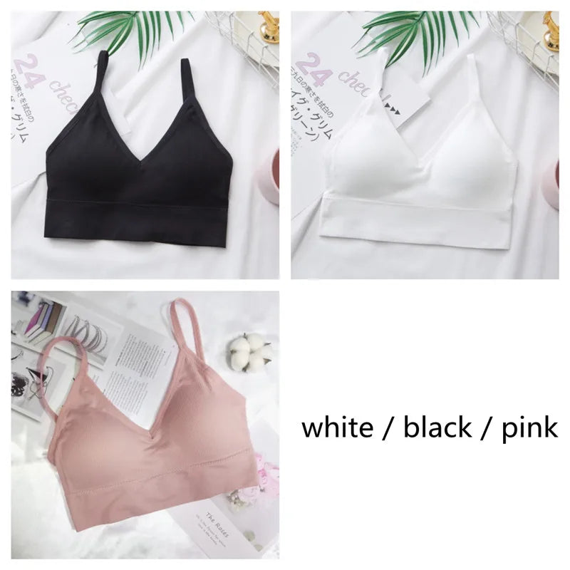 3Pcs/Set Women Sexy Crop Tops Seamless Bra Female Streetwear Sport Crop Top Tee Solid Color Underwear Lingerie Push Up Bra