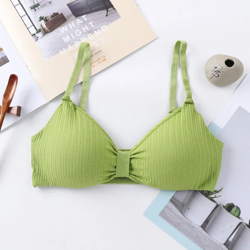 Wire Free Bras For Women Push-Up Bra Sexy Lingerie Padded Bra Top Seamless Underwear Solid Color Brassiere Intimates