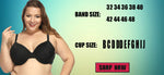 Lager Bosom Lace Perspective Bra For Womens Sexy Lingerie Underwire Embroidery FloralBralette Plus Size Brassiere Top