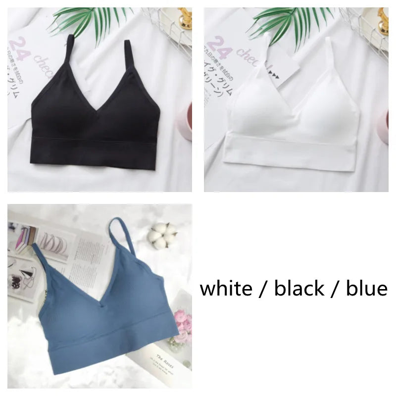 3Pcs/Set Women Sexy Crop Tops Seamless Bra Female Streetwear Sport Crop Top Tee Solid Color Underwear Lingerie Push Up Bra