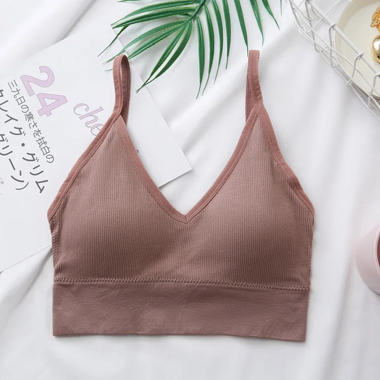 3Pcs/Set Women Sexy Crop Tops Seamless Bra Female Streetwear Sport Crop Top Tee Solid Color Underwear Lingerie Push Up Bra