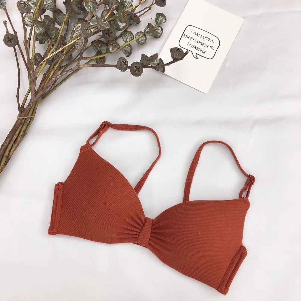 Push Up Bra Wire Free Bras For Women Sexy Padded Bralette A B Cup Bra Female Brassiere Seamless Underwear Ladies Lingerie