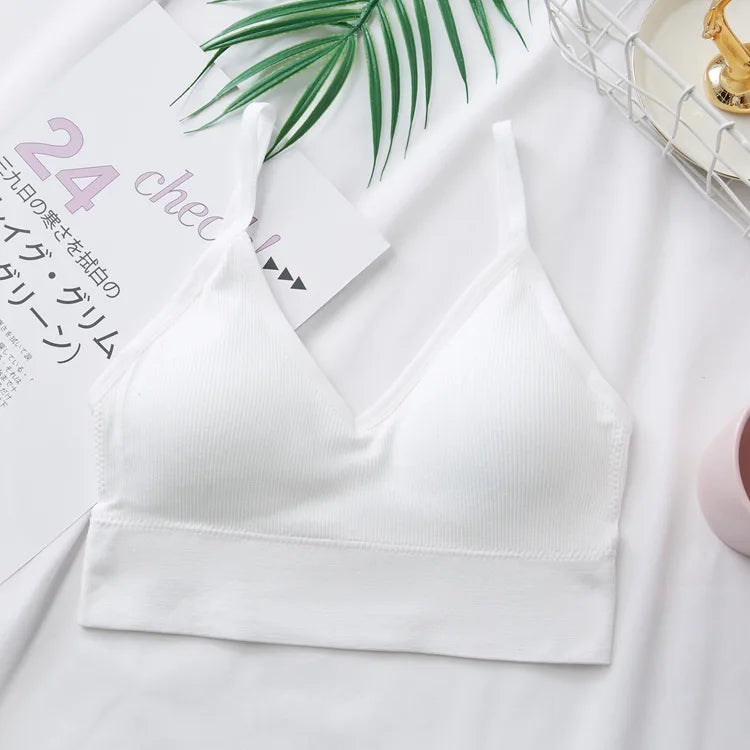 3Pcs/Set Women Sexy Crop Tops Seamless Bra Female Streetwear Sport Crop Top Tee Solid Color Underwear Lingerie Push Up Bra