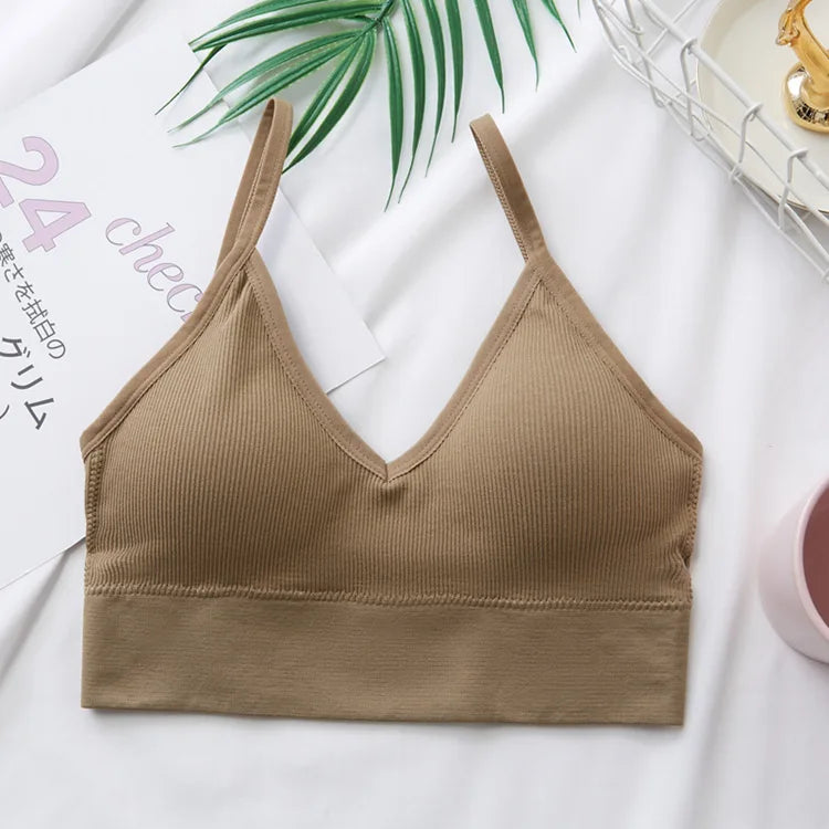 3Pcs/Set Women Sexy Crop Tops Seamless Bra Female Streetwear Sport Crop Top Tee Solid Color Underwear Lingerie Push Up Bra