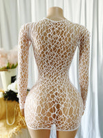 Women Sheer Mesh Long Sleeve Beach Cover Up, Sexy See-Through Fishnet Dress, Solid BodyconFor Summer Beach Party