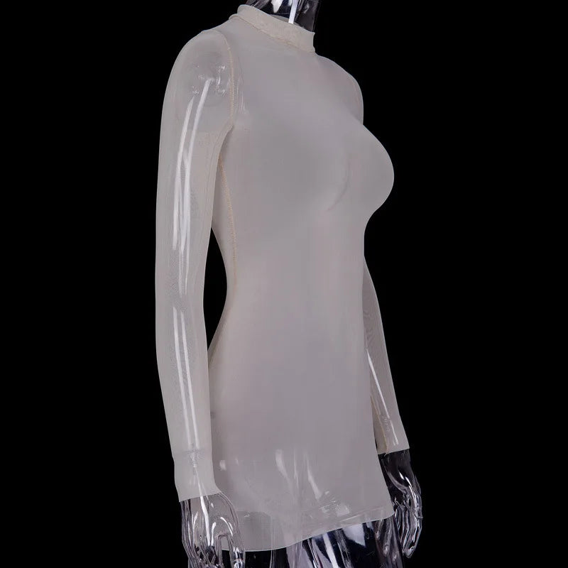 Women Mesh Dress Spring Autumn Sexy Sheer Mesh Long Sleeve Package Hip Sheath Dress Lady Sexy Club Body Wrap Mini Short Vestidos