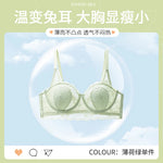 MOYISU Summer Day Lingerie Women's Big Chest Small Traceless Top Lift Breast Anti-sag Ultra Thin Breathable Lace Bra Cover