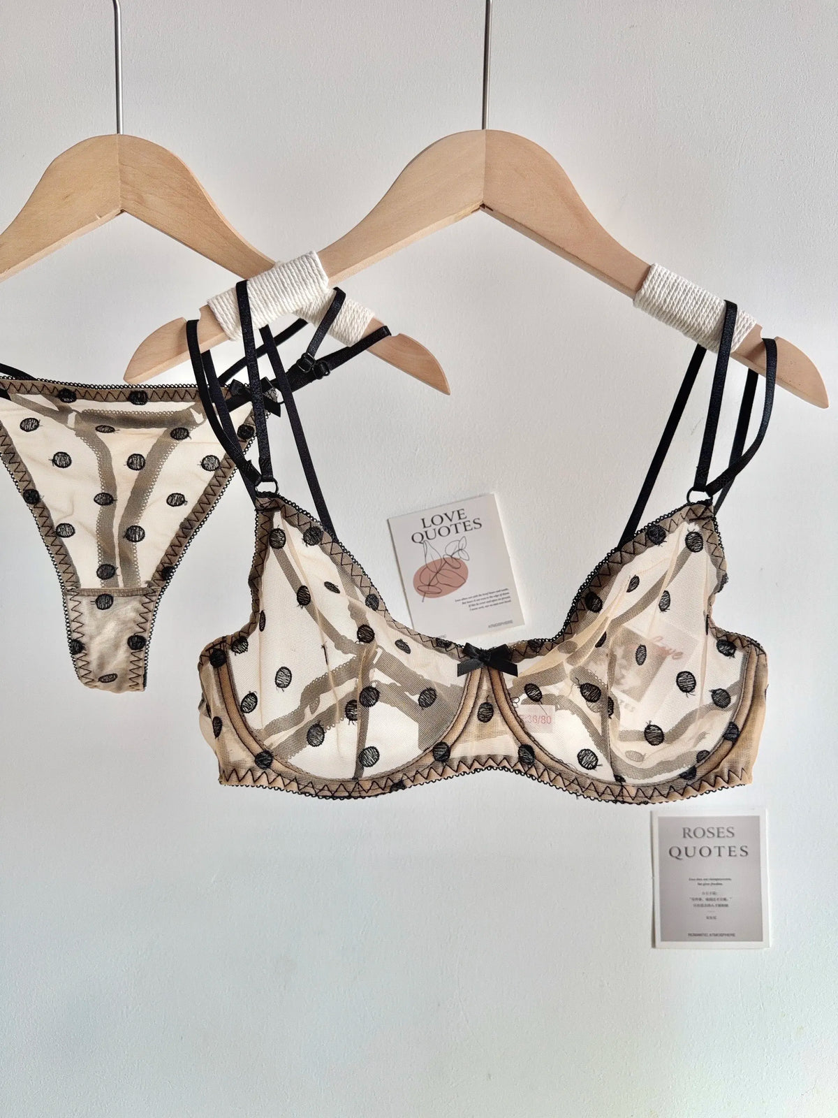 Affordable French Lace Lingerie Set | Sexy Mesh Push Up Bra for Big Bust, Ultra Thin Slimming Anti Sag Women's Bra Set MOYISU AB