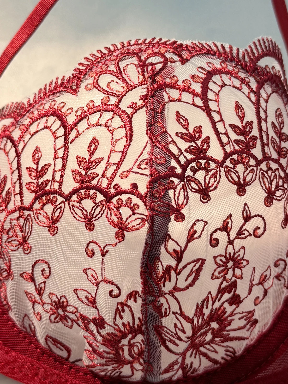 Red Floral Lace Lingerie Set Sheer Mesh Underwire Bra With Bow & Thong Women Sexy Underwear ZA824057