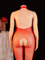Women's Netted Bodysuit Open Crotch High Cut One Piece Teddy Sexy Lingerie Fishnet Leotard Erotic Costume