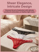 3 Pcs Women Embroidered Thong Sexy G-string Lace Mesh See-through Low Rise Elegant Seductive Lingerie C857