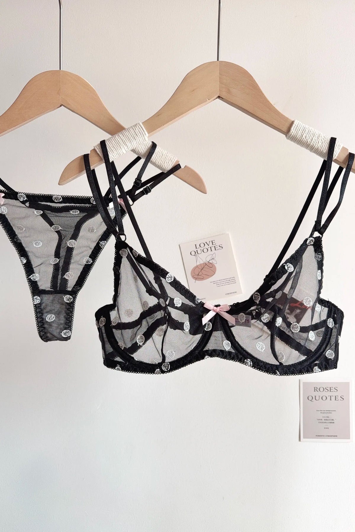 Affordable French Lace Lingerie Set | Sexy Mesh Push Up Bra for Big Bust, Ultra Thin Slimming Anti Sag Women's Bra Set MOYISU AB