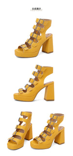 NASBAVI Women Sandals High Heels Summer Fashion Ankle Buckle Strap Female Gladiator Sandals Platform Shoes Block Heels Size 45