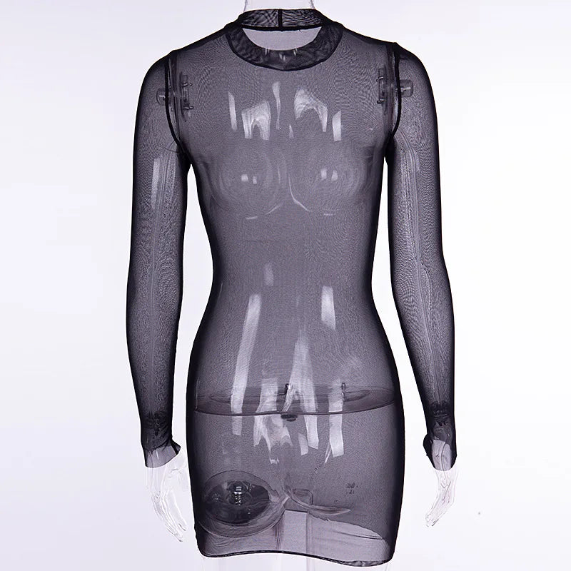Women Mesh Dress Spring Autumn Sexy Sheer Mesh Long Sleeve Package Hip Sheath Dress Lady Sexy Club Body Wrap Mini Short Vestidos