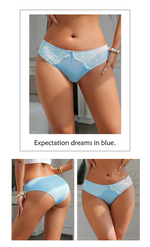 Blue Sexy Striped Lace Bow Sheer Mesh Panties for Women Push Up Cheeky Underwear Daily Lingerie Intimates Gift for Wife