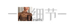 European and American style sexy leopard print mesh earrings tights T-shirt tops women's inner tops