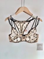 Affordable French Lace Lingerie Set | Sexy Mesh Push Up Bra for Big Bust, Ultra Thin Slimming Anti Sag Women's Bra Set MOYISU AB