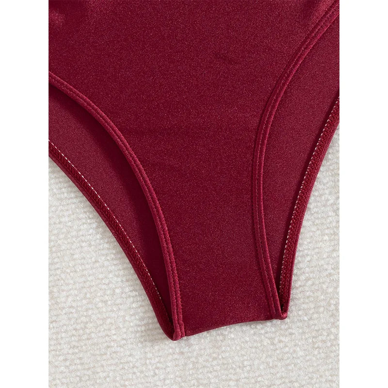 Wine Red High Waisted Bikini 2025 New Brazilian Biquini Triangle Swimsuit Women Beach Wear Bathing Suit Swimwear Female Summer