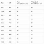 Plus Size Women's B C D Lace Bra Wide Straps Side Support Comfort Underwire Push Up Bra Breast Strap Detail Bralette
