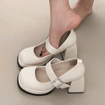 Elegant Chunky Heel Mary Jane Shoes Women 2025 Crystal Buckle Strap Platform Pumps Woman Thick High Heeled Party Shoes Ladies