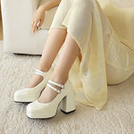 Women Silver Metallic Platform Mary Jane Shoes Double Rhinestone Buckle Chunky Block High Heels Y2K Vintage Square Toe Pumps