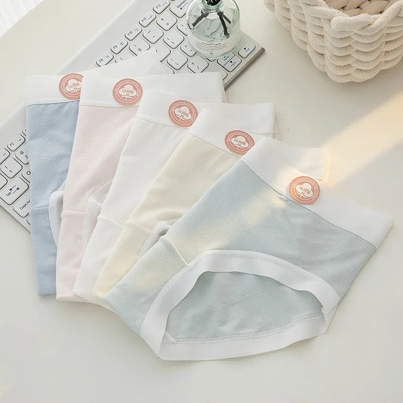 4Pcs/Set Women Low Waist Panties Breathable Comfy Briefs Soft Underwear Female Underpants Solid Color Sexy Lingerie M-XL