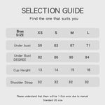 Sexy Lingerie Bra and Panty Set Triangle Cup Luxury Noble Threaded Silver Ribbon Thin Buckle Women Underwear Set