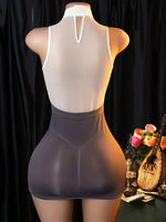 Women Lace Lingerie Dress Set, Halter Neck Floral Mesh Bodycon Mini Dress with Panties, Elegant Secretary Role Play Costume