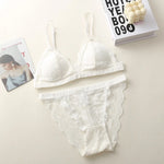 Women Lace Bra And Panties Set Embroidery Lace Bralette Underwear Set Push Up Brassiere Low Briefs Female Sexy Lingerie Set
