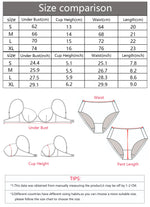 Women's sexy lingerie set with lace thin design and steel ring gathered push up bra comfortable transparent bra set YS024