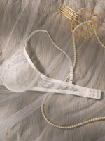 Beautiful fashionable colored strip steel support underwear thin lace semi transparent women's underwear sexy Lingerie HR2635