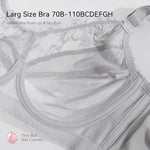 Big Large Size Push Up Bras for Women Plus Size Sexy Transparent Lingerie Full Coverage Underwear Lace Minimizer Bra BH